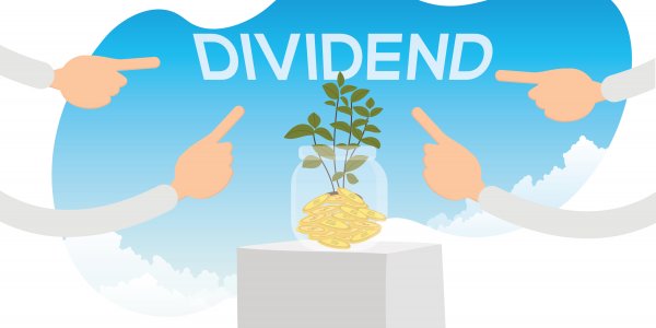 Common stock dividends and DRIP