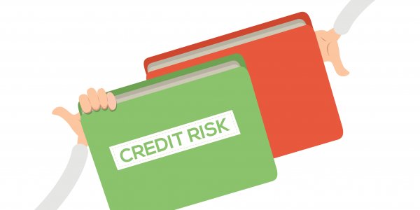 Consumer credit risk
