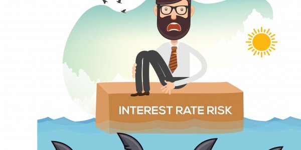 Interest rate risk definition