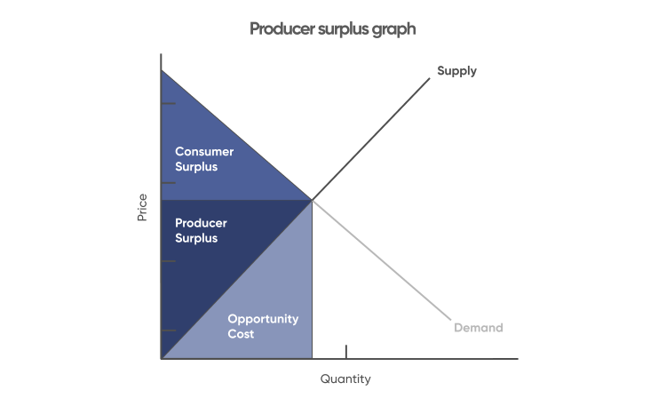 What Is The Meaning Of Surplus Stock