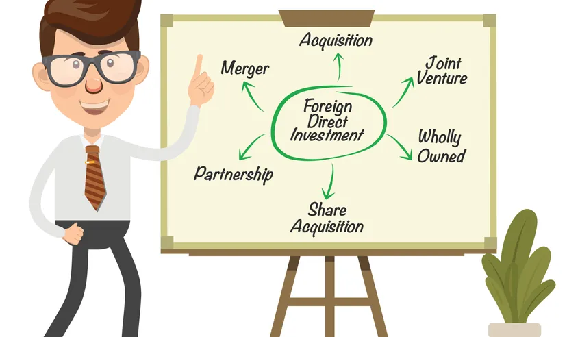 Direct investment definition
