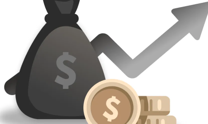 Understanding capital
